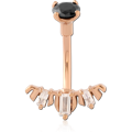 RGDFSC297