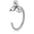 OER029