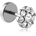 SCFPL096