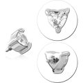 INSCJ507