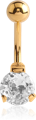 Z-GPFSC1