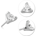 PFSJ62