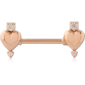 RGSCNS228