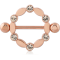 RGSCNS234