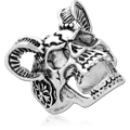 SCR1564
