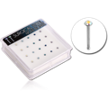 NOBJBOX20