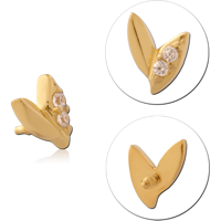 GPINSCJ208