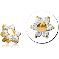 GPINSCJ54