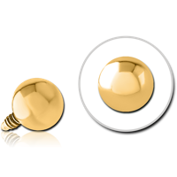 GPTINB
