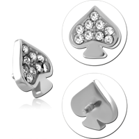 INSCJ338