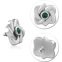 INSCJ441