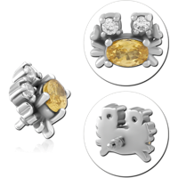 INSCJ454