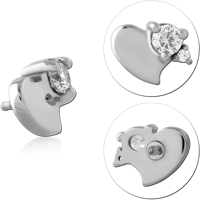 INSCJ463