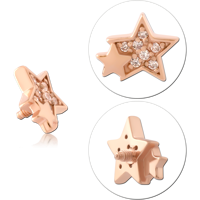 RGINLSCJ452