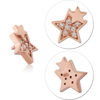RGINSCJ452