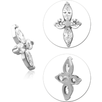 TINSCJ041