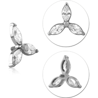 TINSCJ042