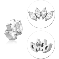TINSCJ053