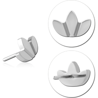 TPFSC44