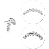 TPFSJ29