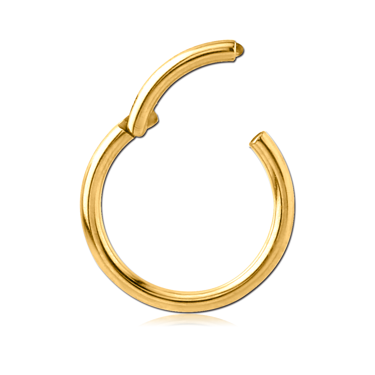 GOLD PVD COATED TITANIUM HINGED SEGMENT RING GPTBCSH