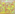 LEMON YELLOW