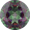VITRAIL MEDIUM