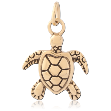 GOLD PVD 18K COATED SURGICAL STEEL CHARM