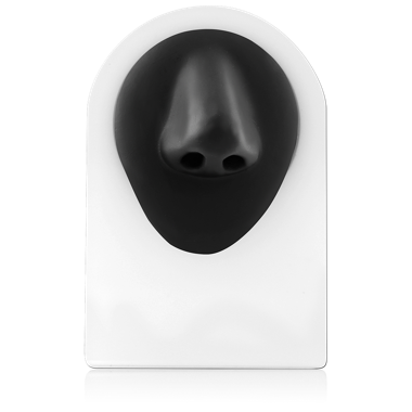 SILICON BODY JEWELLERY WITH DISPLAY  - NOSE