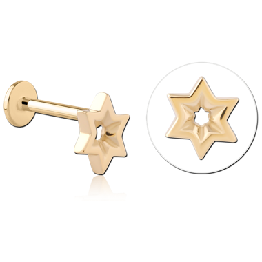 14K YELLOW GOLD TOP WITH GOLD PVD 18K COATED TITANIUM INTERNAL LABRET HEXAGRAM CUTOUT