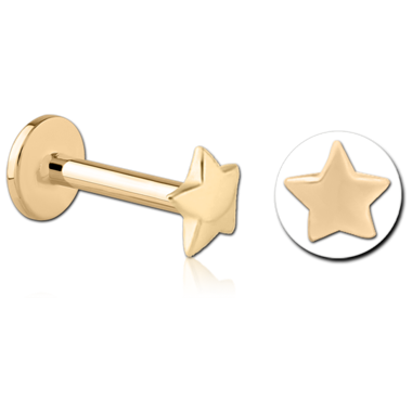 14K YELLOW GOLD TOP WITH GOLD PVD TITANIUM INTERNAL LABRET FLAT STAR