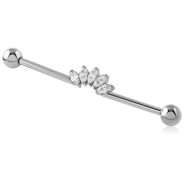 TITANIUM INTERNALLY THREADED INDUSTRIAL BARBELL