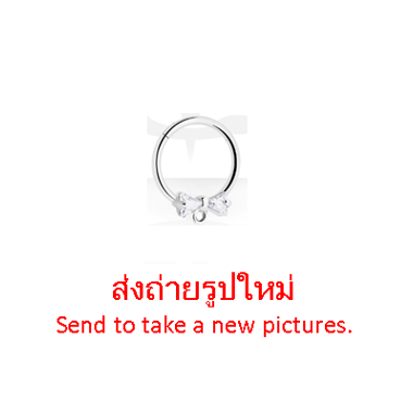 SURGICAL STEEL HINGE SEGMENT RING JEWELED