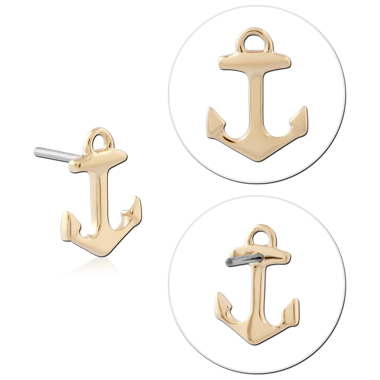 14K YELLOW GOLD TOP WITH TITANIUM THREADLESS PIN ANCHOR SHAPE
