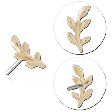14K YELLOW GOLD TOP WITH TITANIUM THREADLESS PIN LEAF BRANCH RIGHT