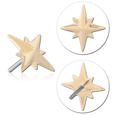 14K YELLOW GOLD TOP WITH TITANIUM THREADLESS PIN EIGHT POINT STAR