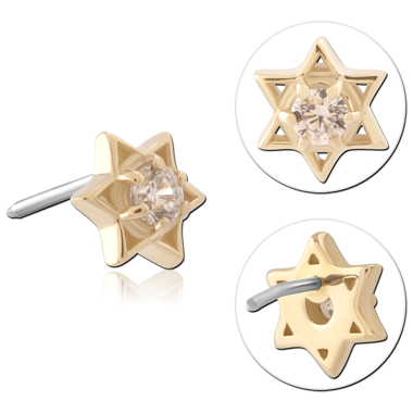 14K YELLOW GOLD JEWELED ATTACHMENT TITANIUM THREADLESS PIN