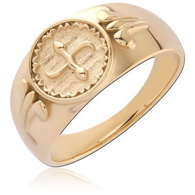 GOLD PVD 18K COATED SURGICAL STEEL RING - PLUS IN A CIRCLE