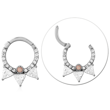 316L SURGICAL STEEL HINGE SEGMENT RING