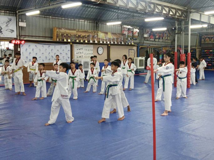 taekwondo lesson