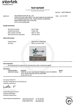 RHODIUM BCZ13-1.6-AQ (2019-06-10)